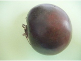 fruitsdecoratifs - .