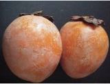 fruitsdecoratifs - .