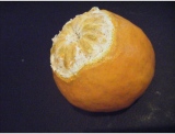 fruitsdecoratifs - .