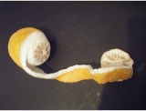 fruitsdecoratifs - .