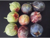 fruitsdecoratifs - .