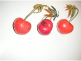 fruitsdecoratifs - .