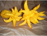 fruitsdecoratifs - .