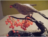 fruitsdecoratifs - .