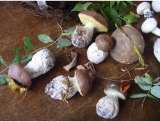 fruitsdecoratifs - .