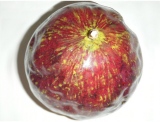 fruitsdecoratifs - .