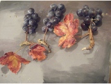 fruitsdecoratifs - .