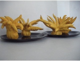 fruitsdecoratifs - .