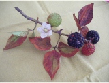 fruitsdecoratifs - .