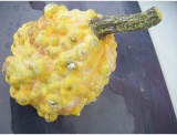 fruitsdecoratifs - .