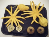 fruitsdecoratifs - Contact